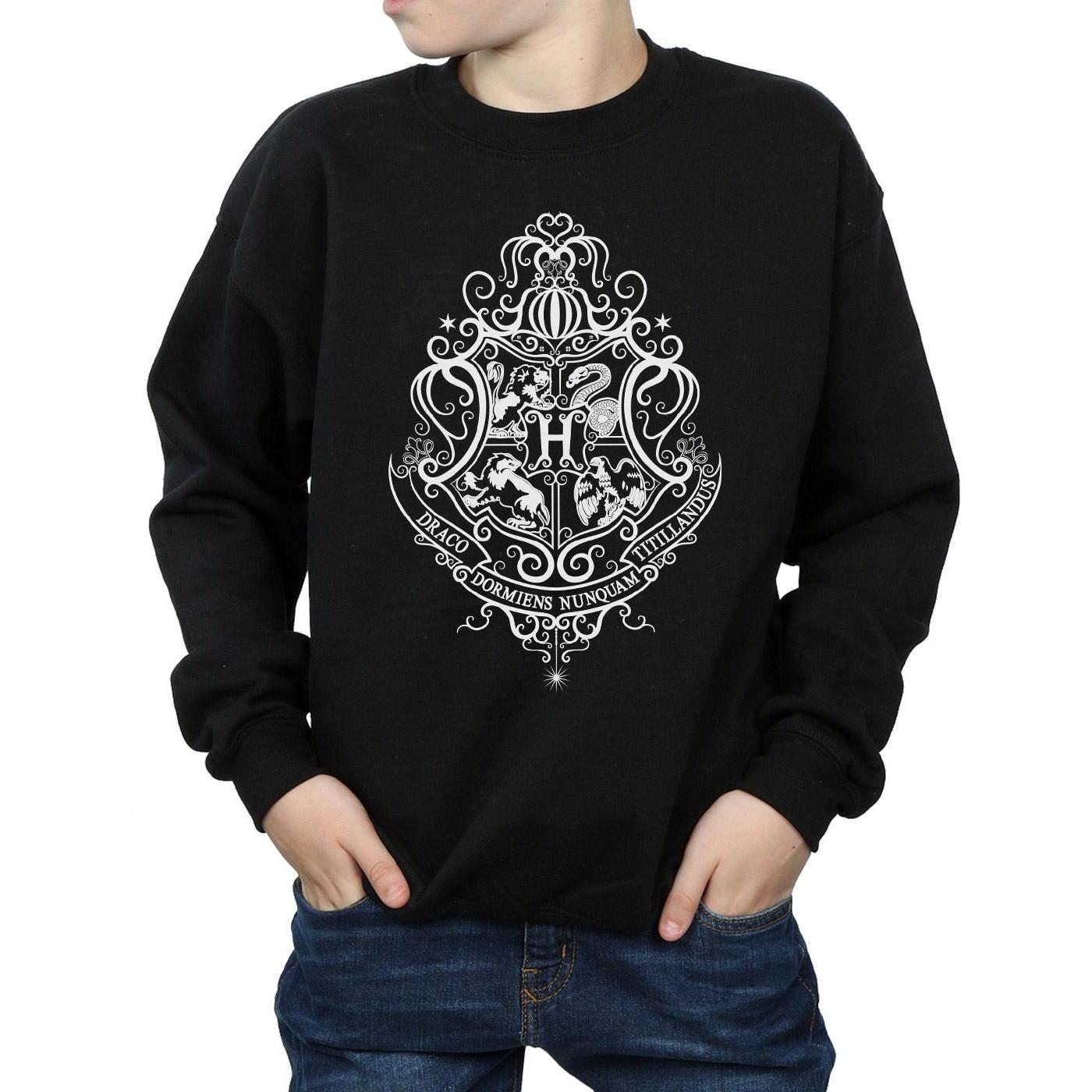 Harry Potter Hogwarts Draco Dormiens Sweatshirt