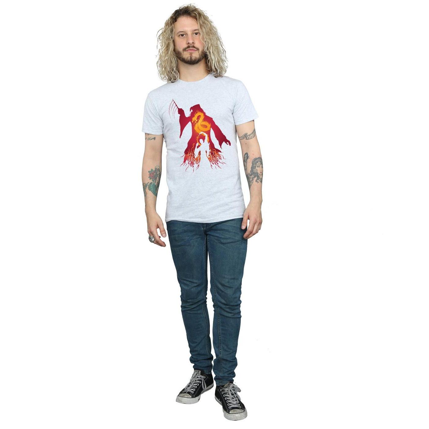 Harry Potter Dragon Duel T-Shirt