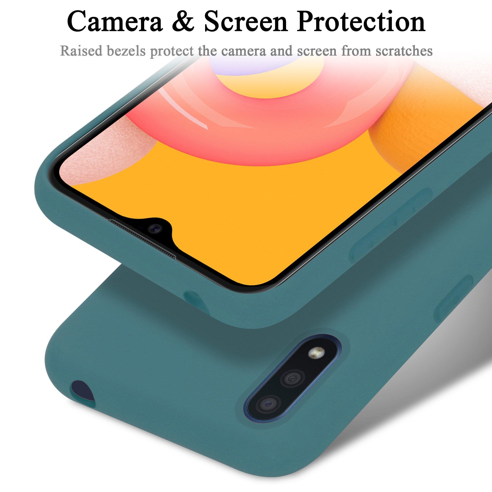 Cadorabo Hülle für Samsung Galaxy A01 TPU Silikon Liquid