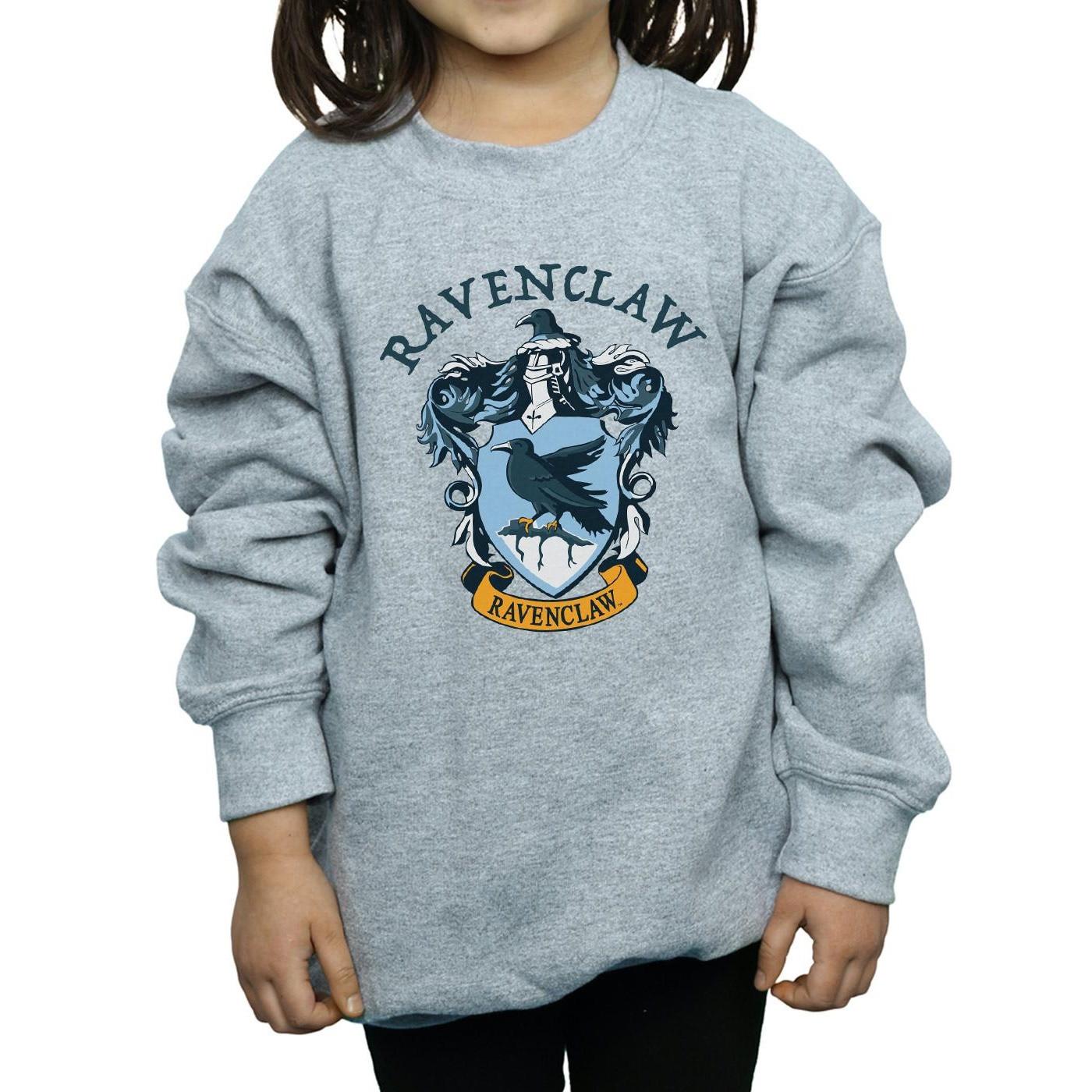 Harry Potter Sweatshirt