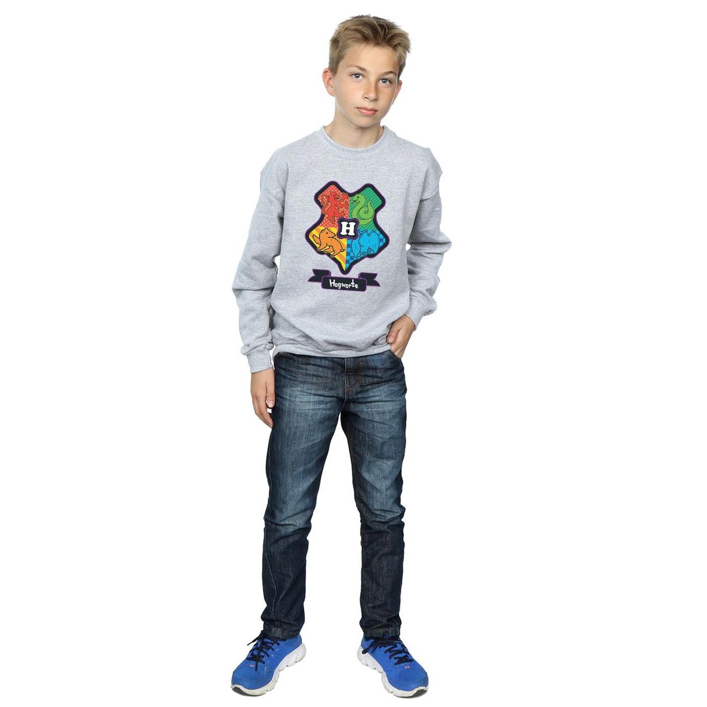 Harry Potter Sweatshirt