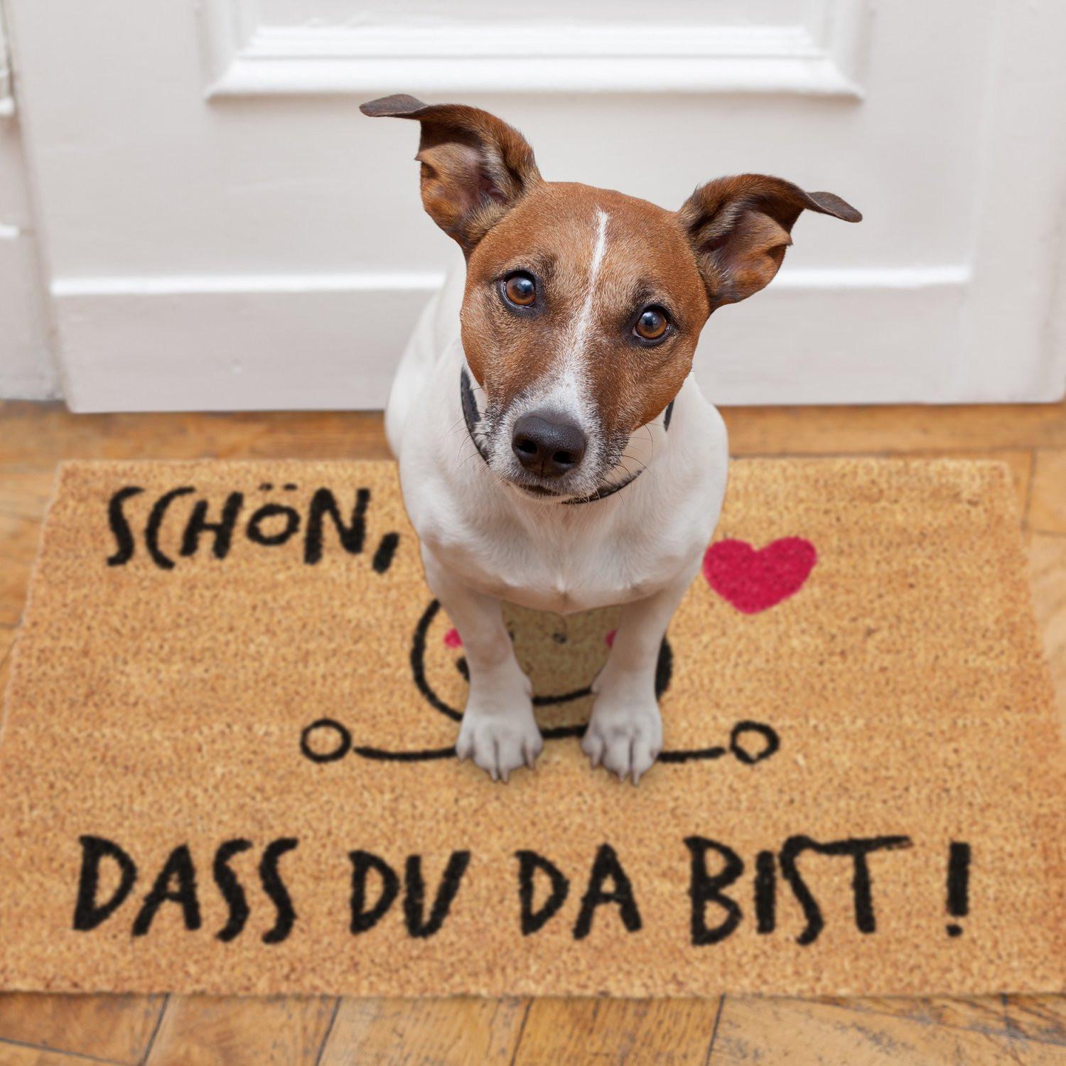 B2X Fußmatte Kokosnuss SCHÖN, DASS DU DA SIND