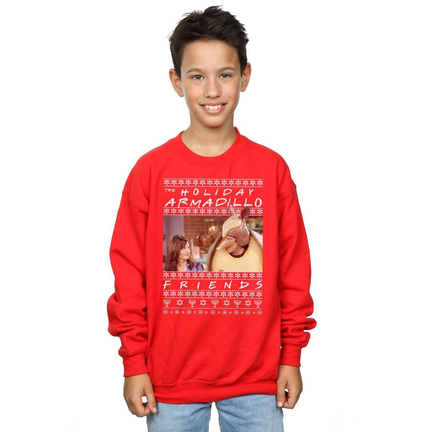 Friends Holiday Armadillo Sweatshirt