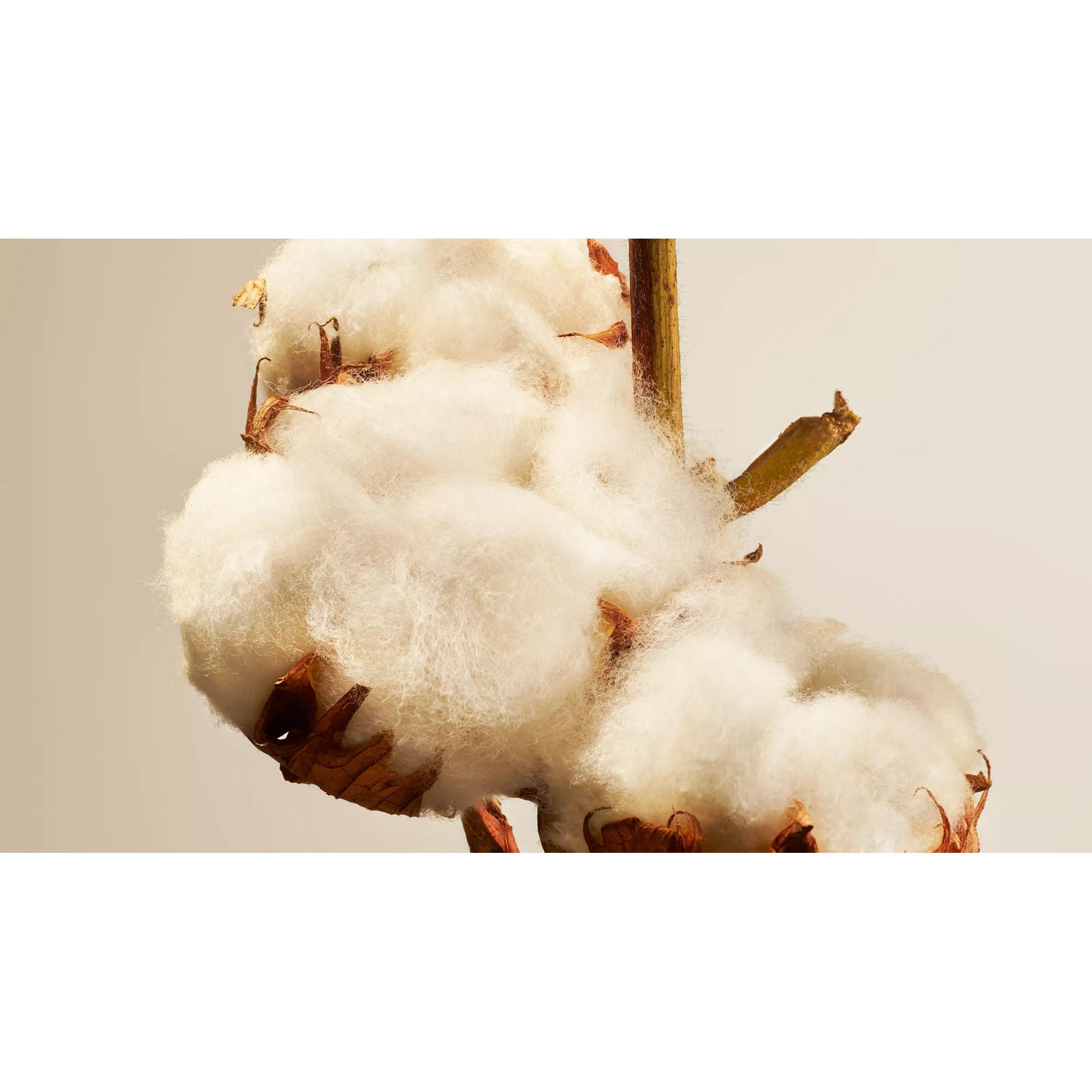 RITUALS Refill Fragrance Sticks Private Collection Cotton Blossom