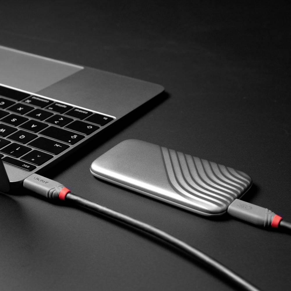 LINDY 2m USB 4 240W Typ C Kabel, Anthra Line