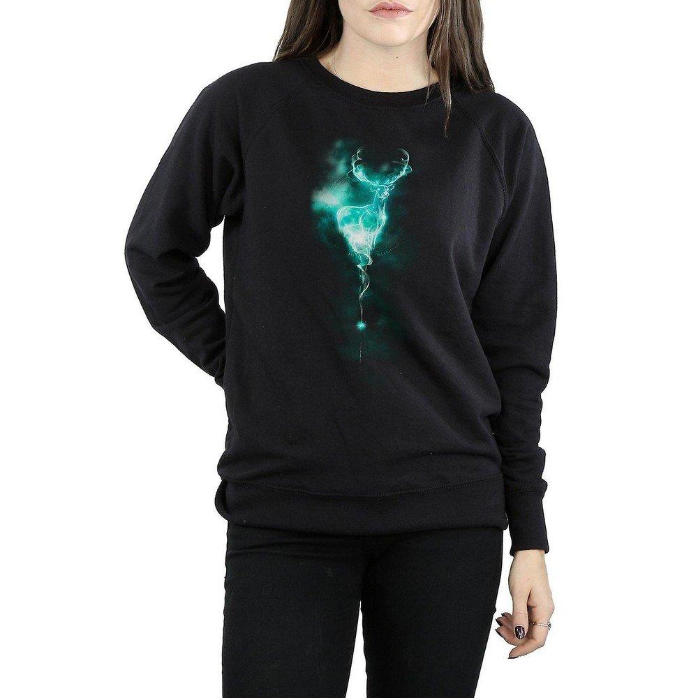 Harry Potter Sweatshirt