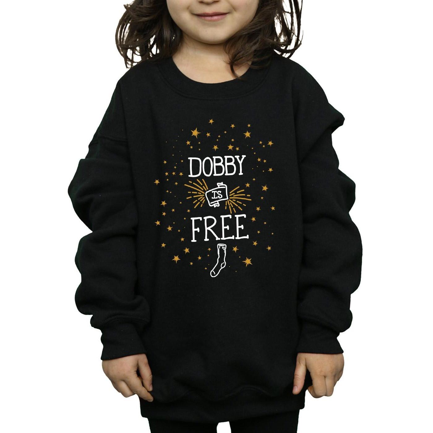 Harry Potter Dobby Is Free Sweatshirt