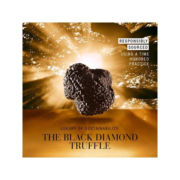 ESTÉE LAUDER Re-Nutriv Ultimate Diamond Sculpted Transformation Cream