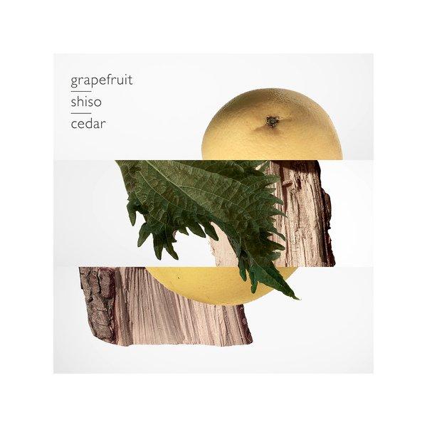 HERMÈS Terre d'Hermès, Parfum