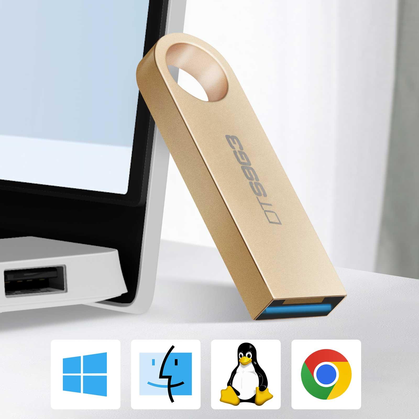 Kingston Kingston DataTraveler 256GB USB-Stick