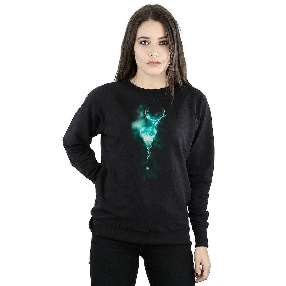 Harry Potter Sweatshirt