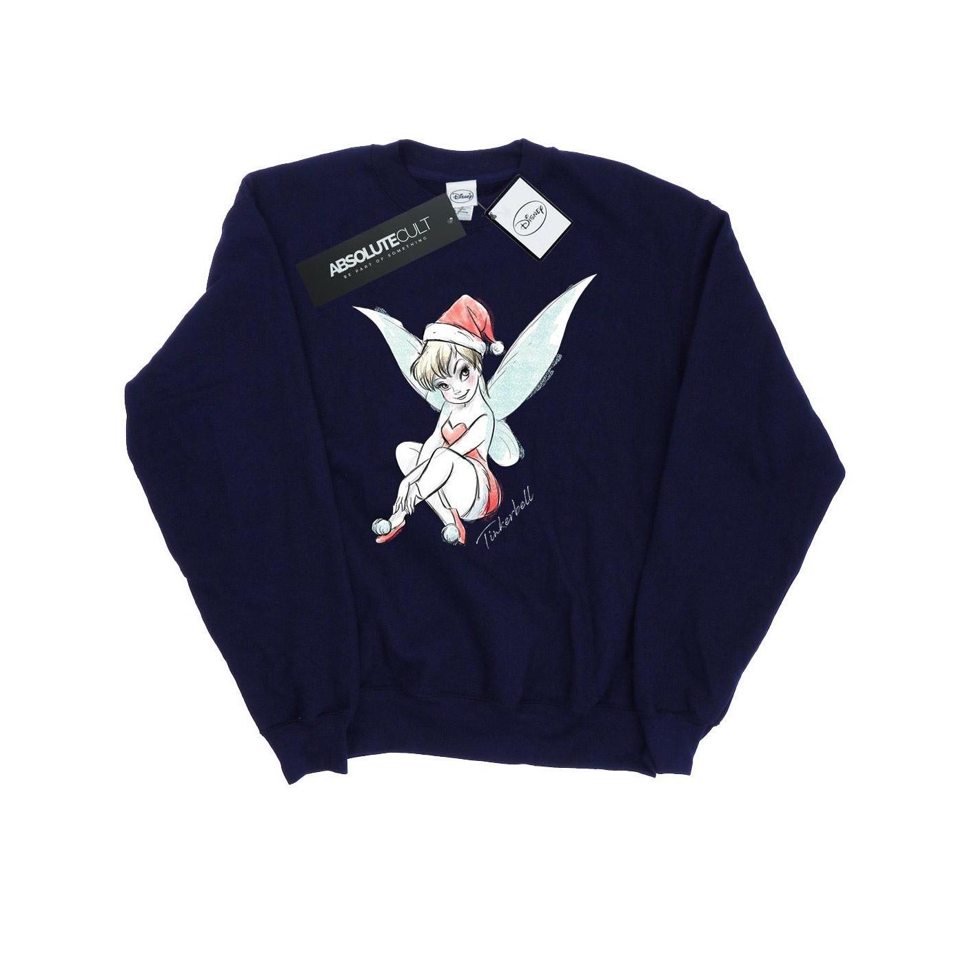 Disney Fairy Sweatshirt