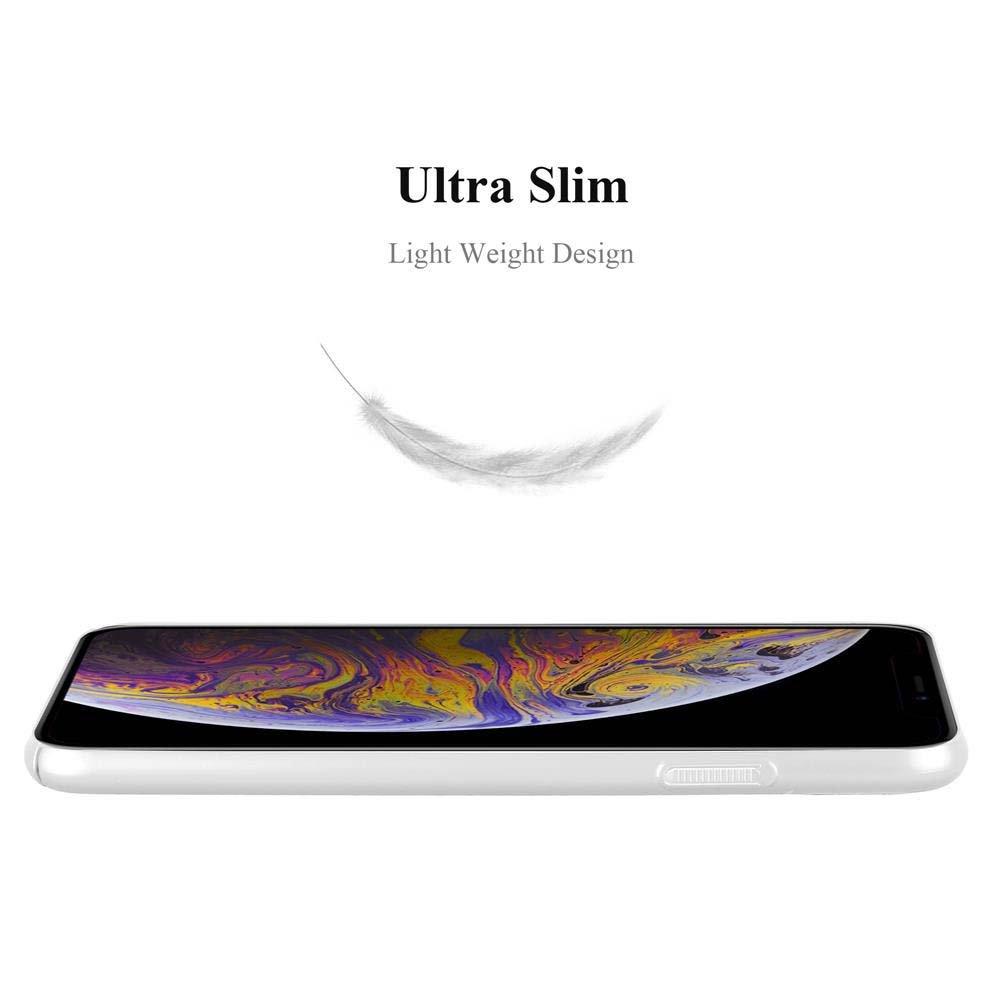 Cadorabo Hülle für Apple iPhone XS MAX Hard Case in Metall Optik