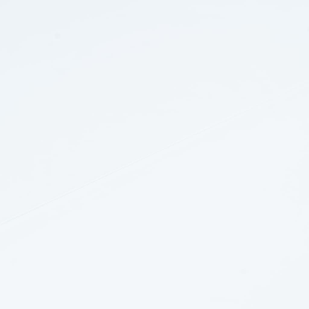 VidaXL Esstisch holz