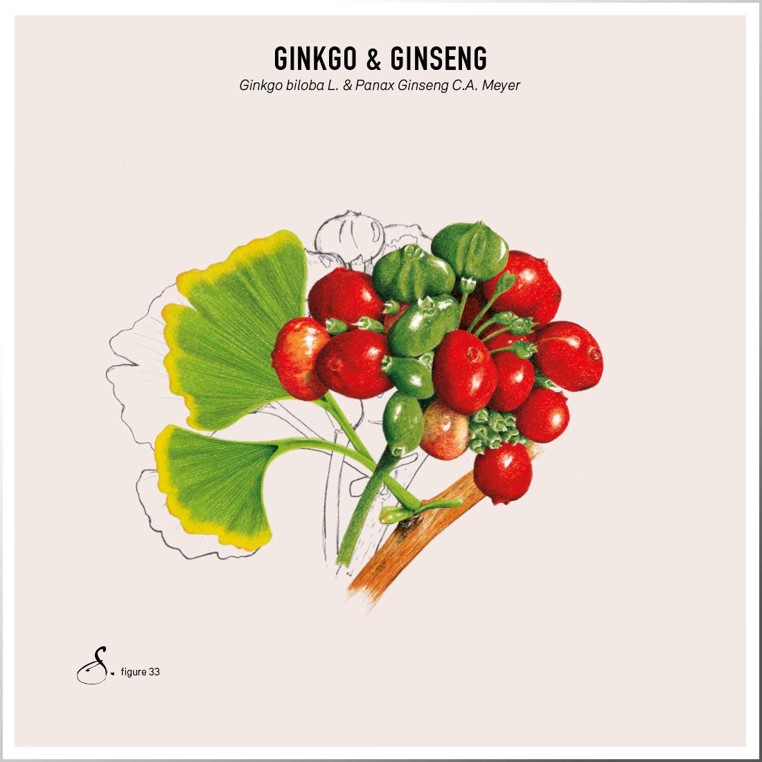 Sekoya Swiss Ginkgo & Ginseng | Für das Gedächtnis
