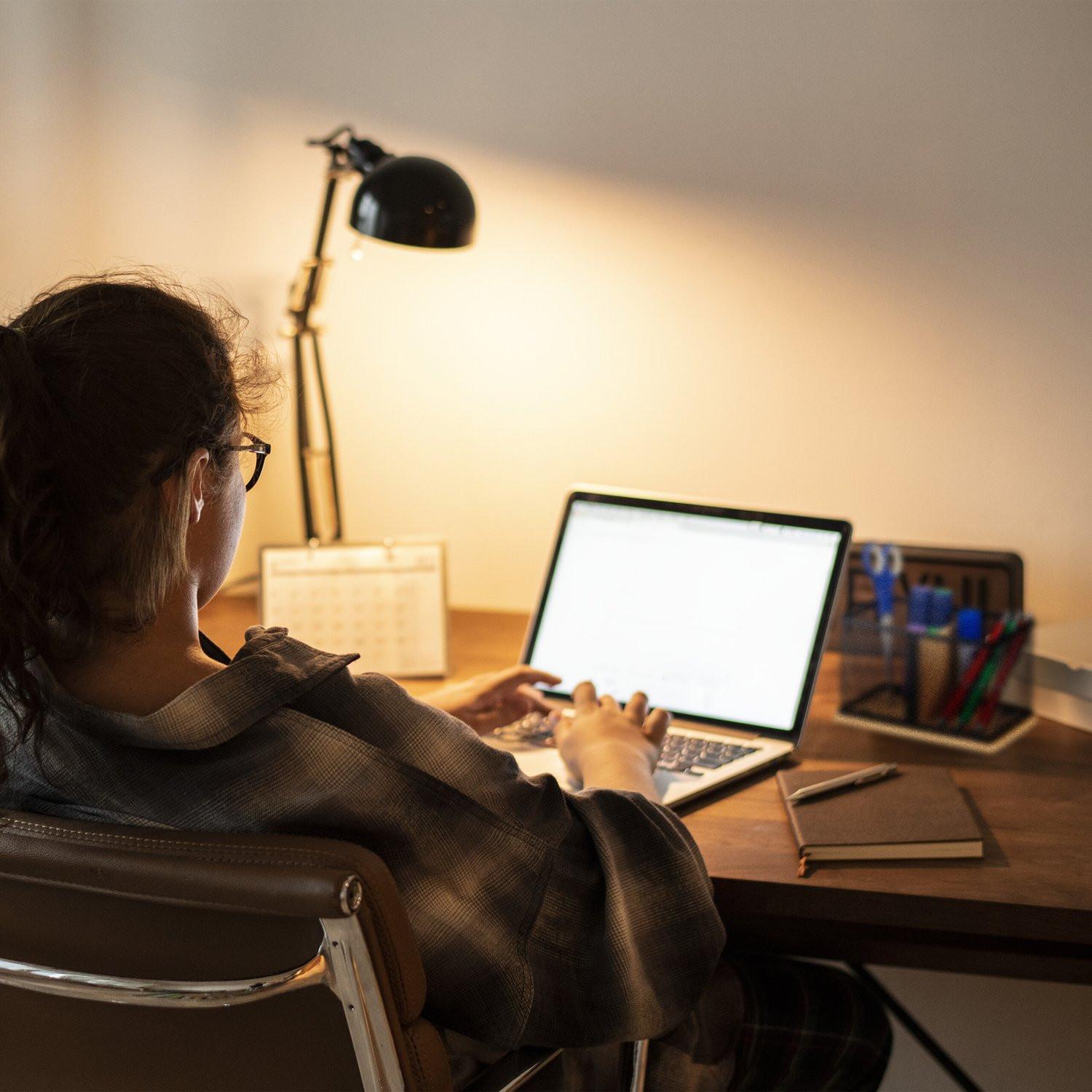 Northio Stifthalter aus Bambus und Netz