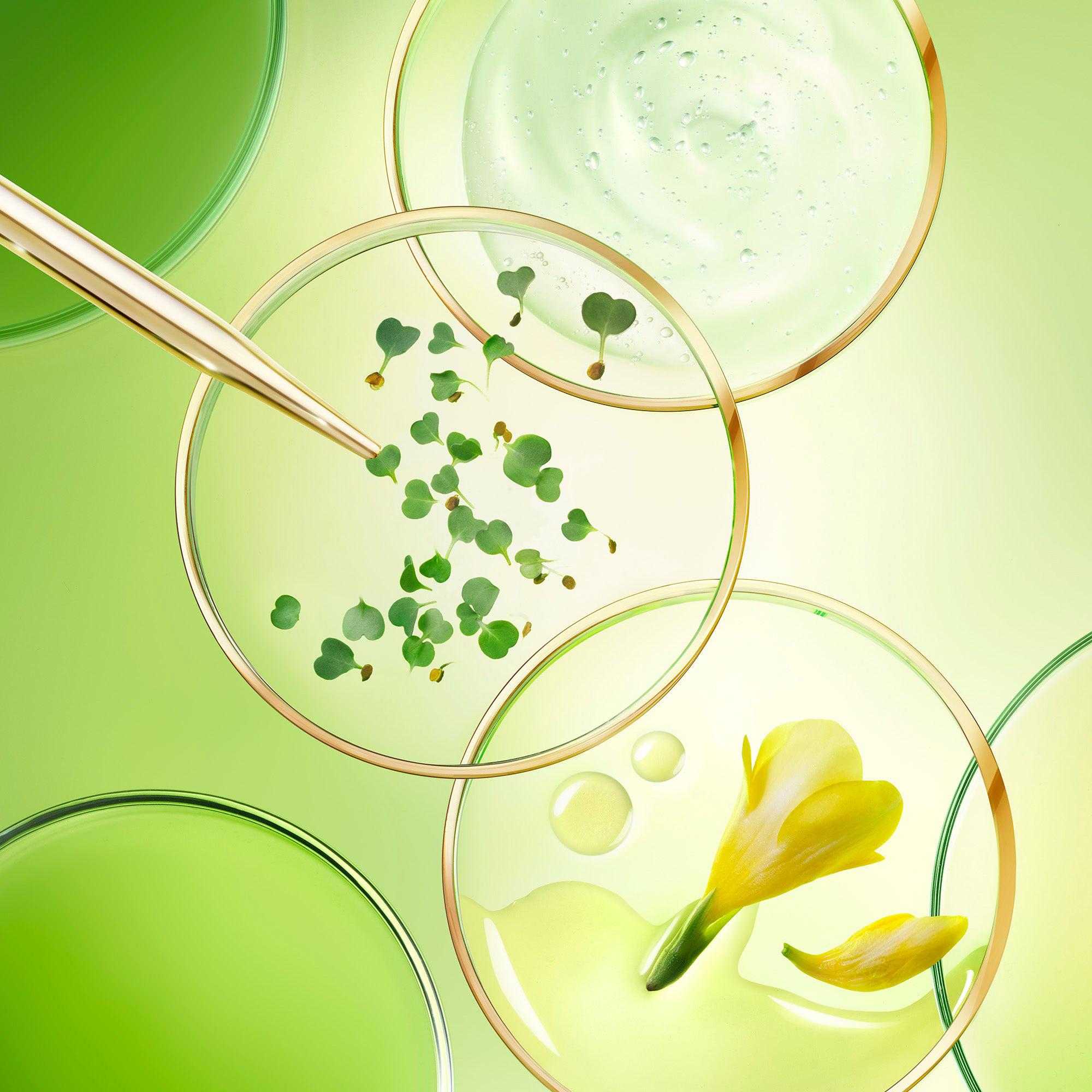 NUXE Nuxuriance Ultra, Die Festigende Körpercreme