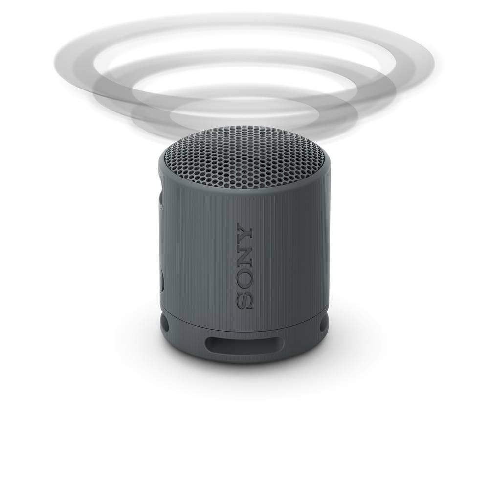 SONY XB100 Tragbarer kabelloser Lautsprecher