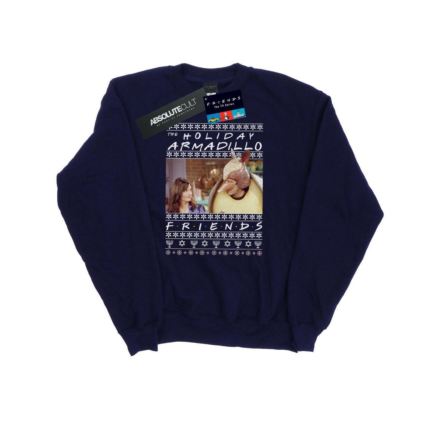 Friends Holiday Armadillo Sweatshirt