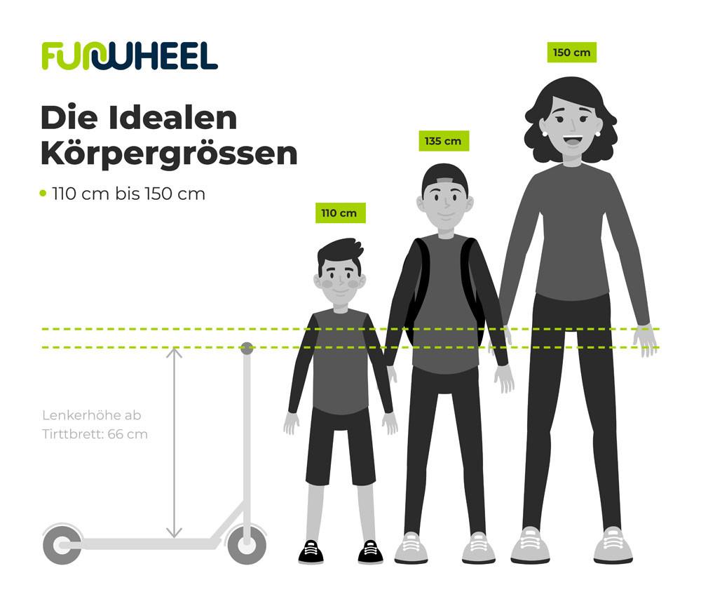 Motion Scooter Freestyle Rookie Pro