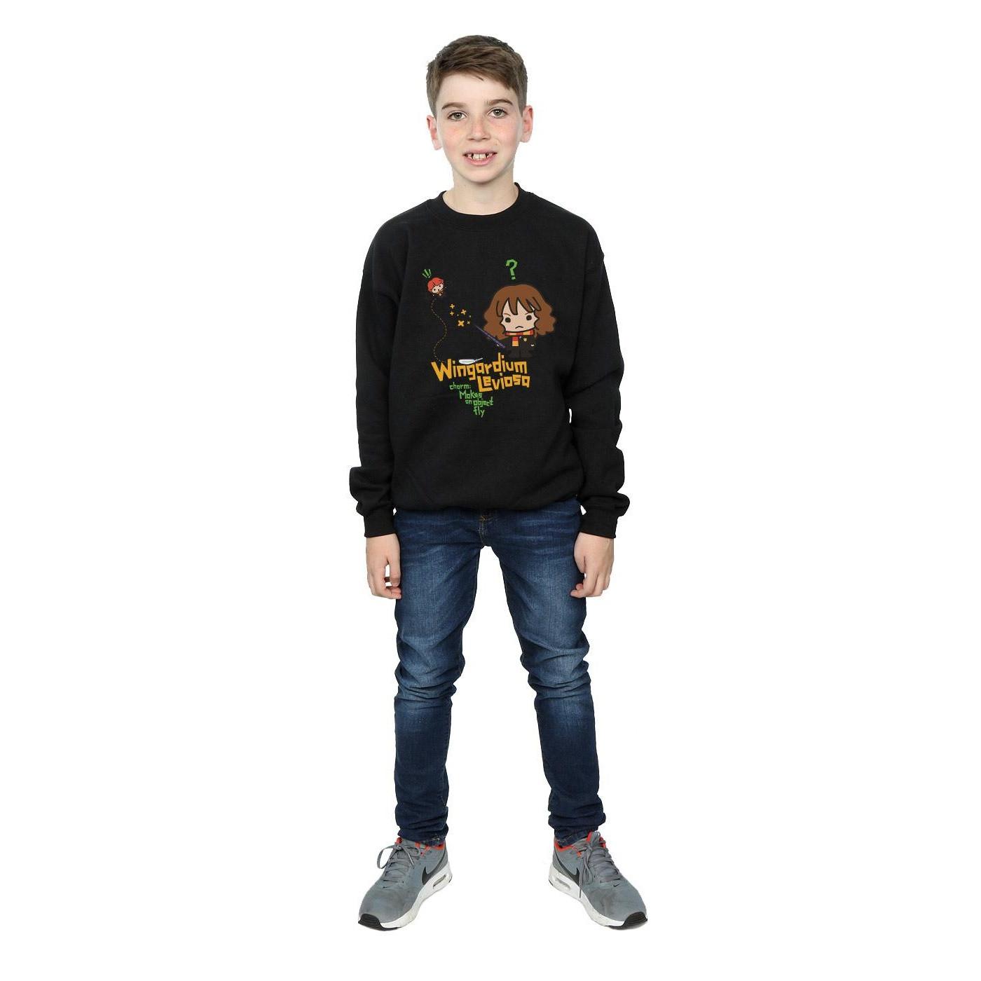 Harry Potter Wingardium Leviosa Sweatshirt