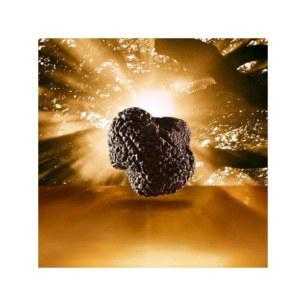 ESTÉE LAUDER Re-Nutriv Ultimate Diamond Transformative Brilliance Serum