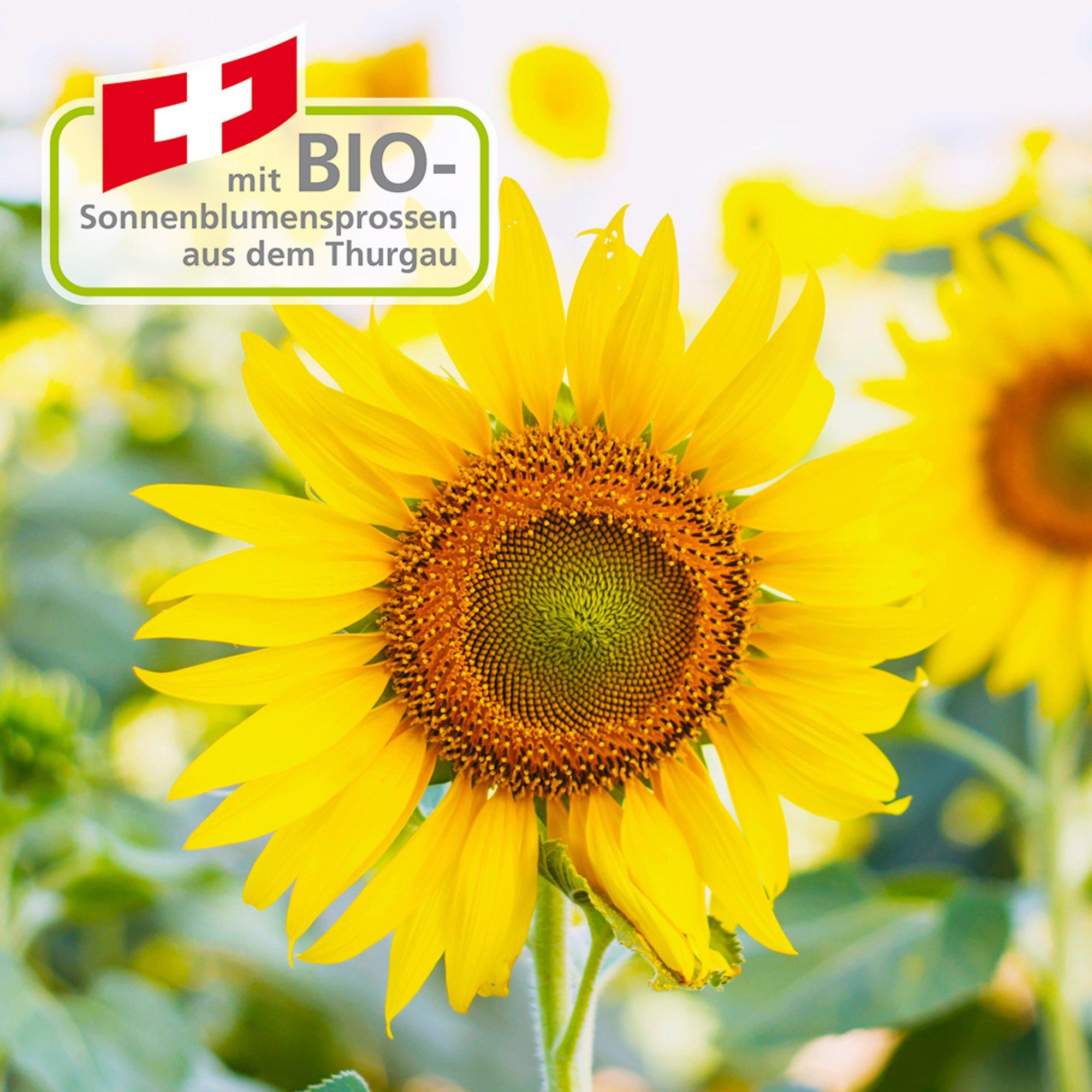 BIOKOSMA ACTIVE Visage Gesichtsöl mit Pipette 30ML