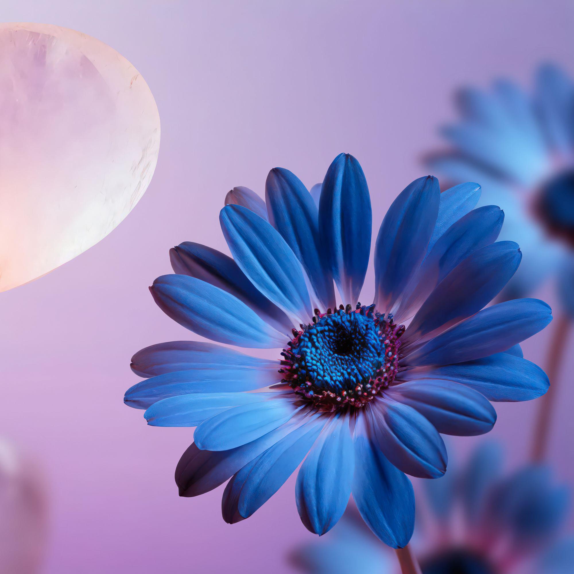 RITUALS Dream Collection Body Scrub