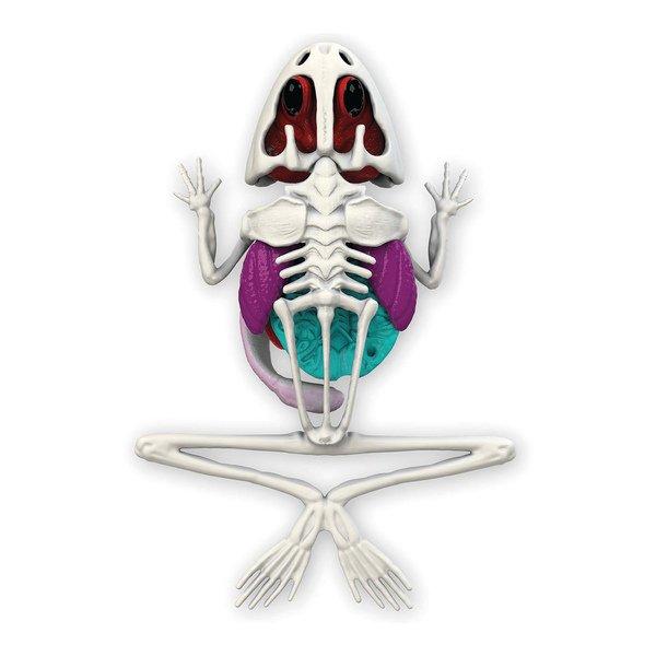 JOKER Dissect-it Frosch