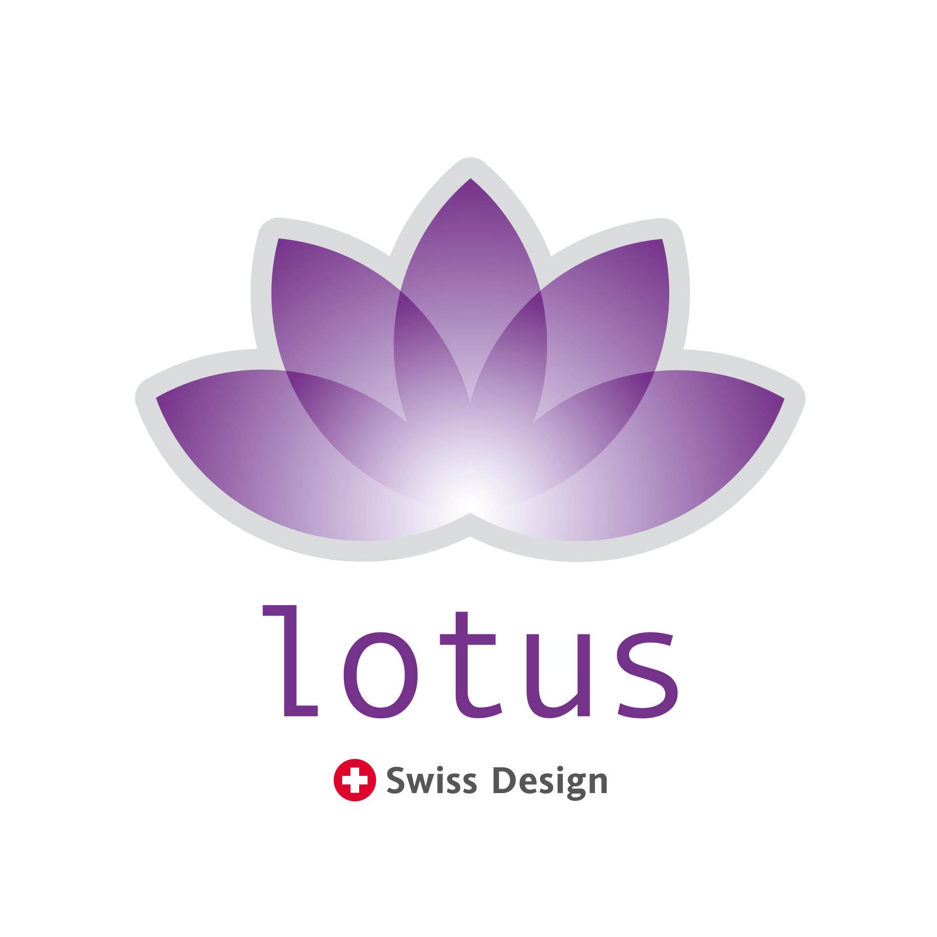 Lotus Bettwaren Lotus Kopfkissenbezug Satin Colbert