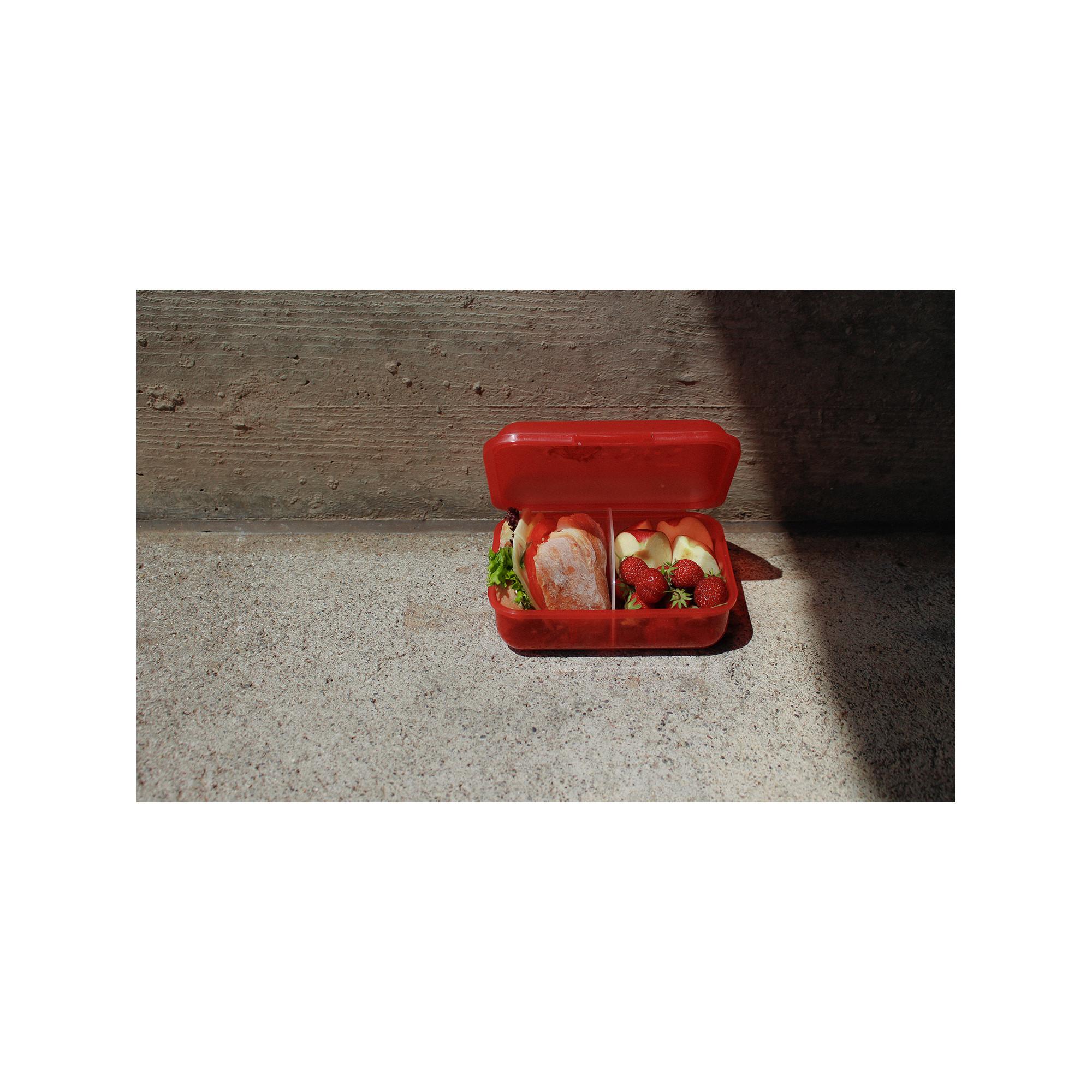 SIGG Lunchbox Horses