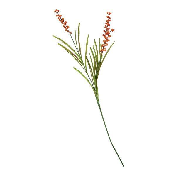 house doctor Kunstblume Buckthorn