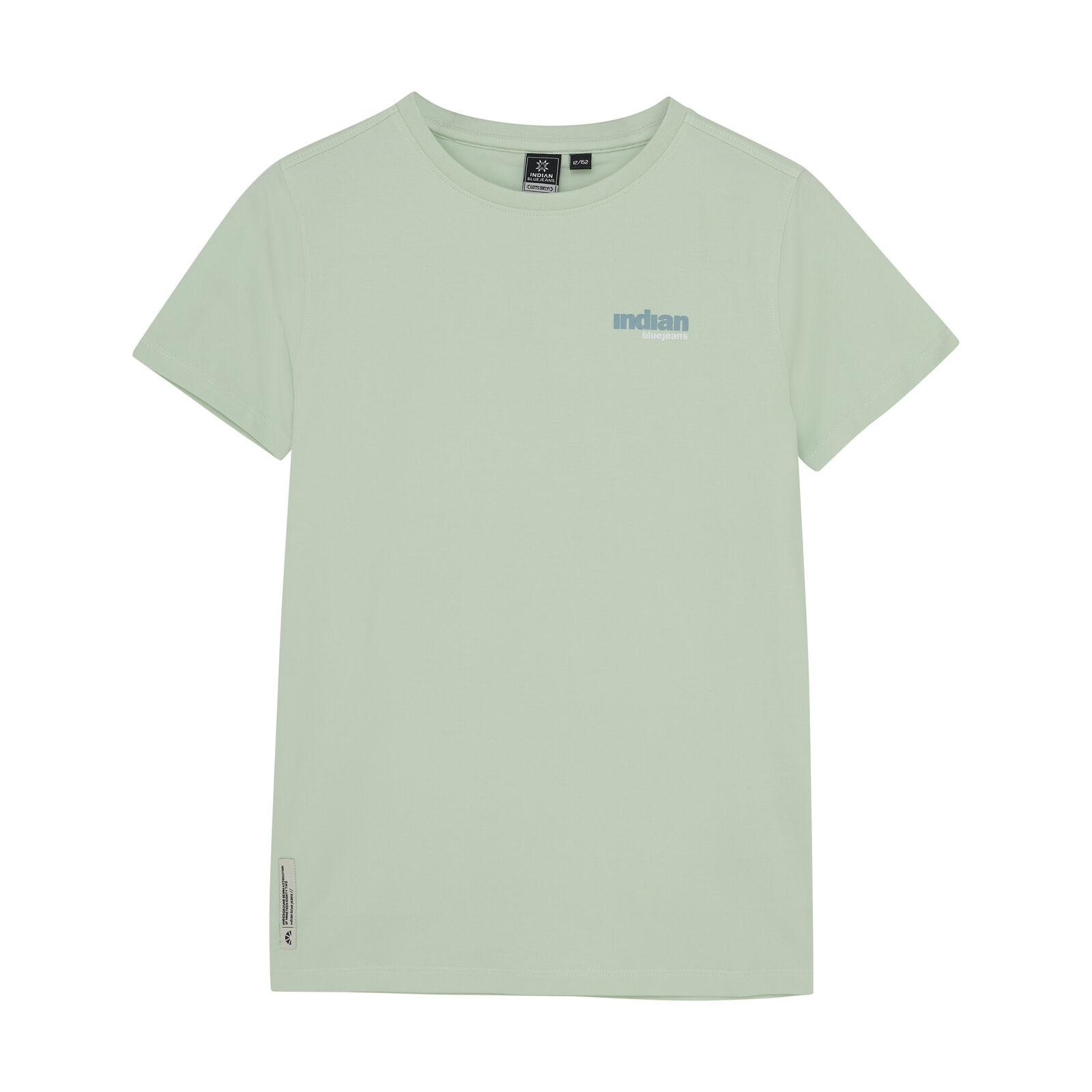 Indian Blue Jeans Jungen T-Shirt Backprint Wave