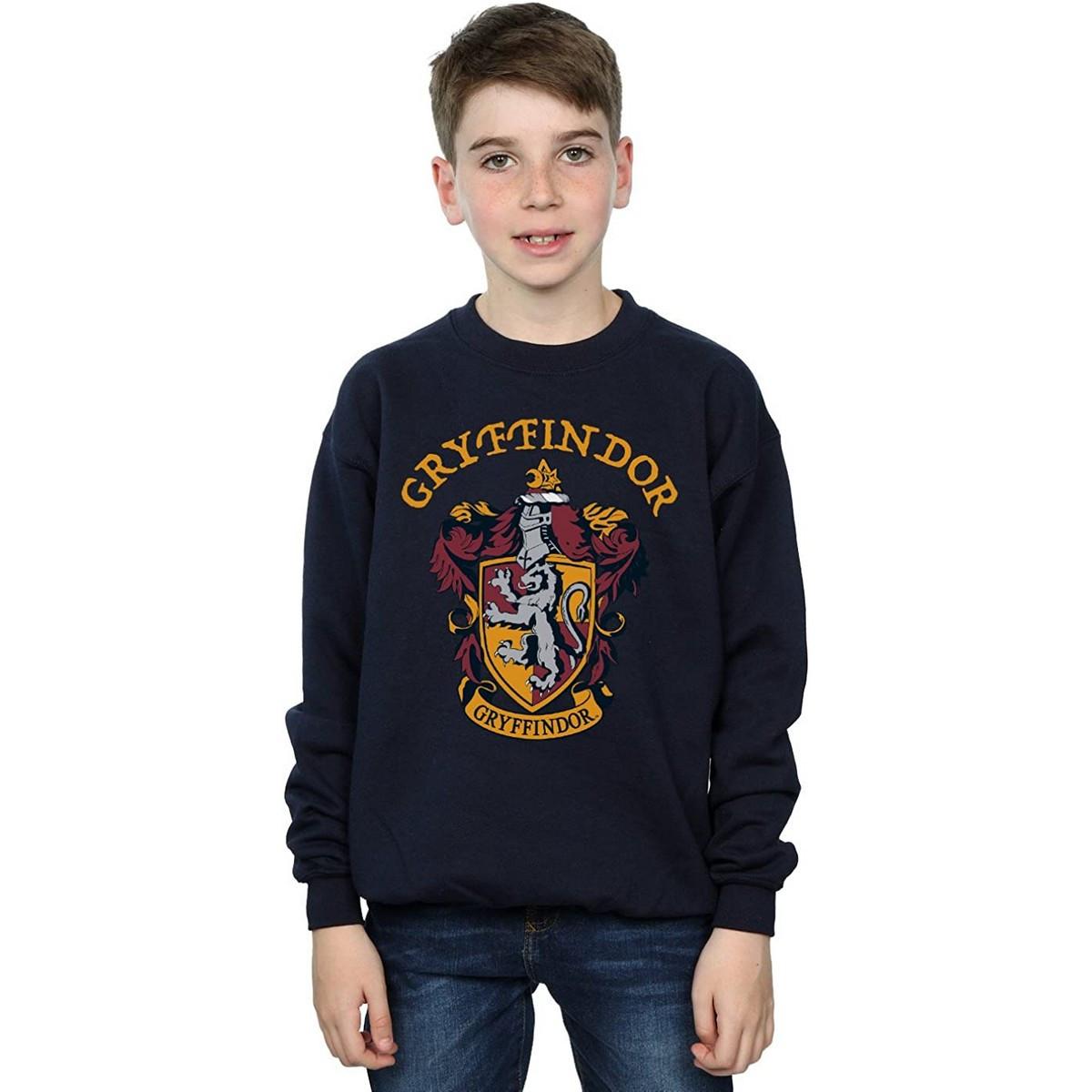 Harry Potter Sweatshirt