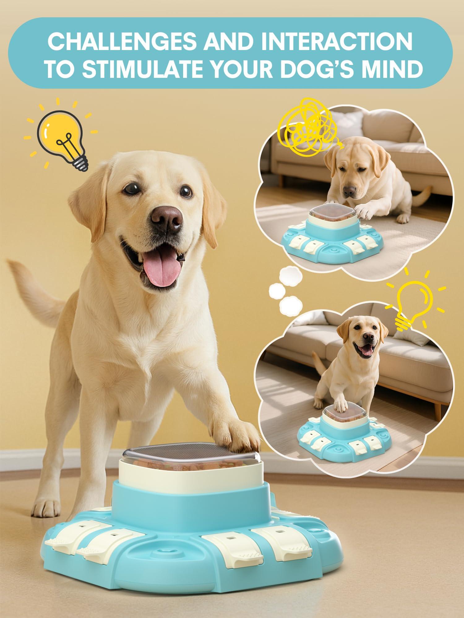 Activity-board Hundespielzeug Intelligenz
