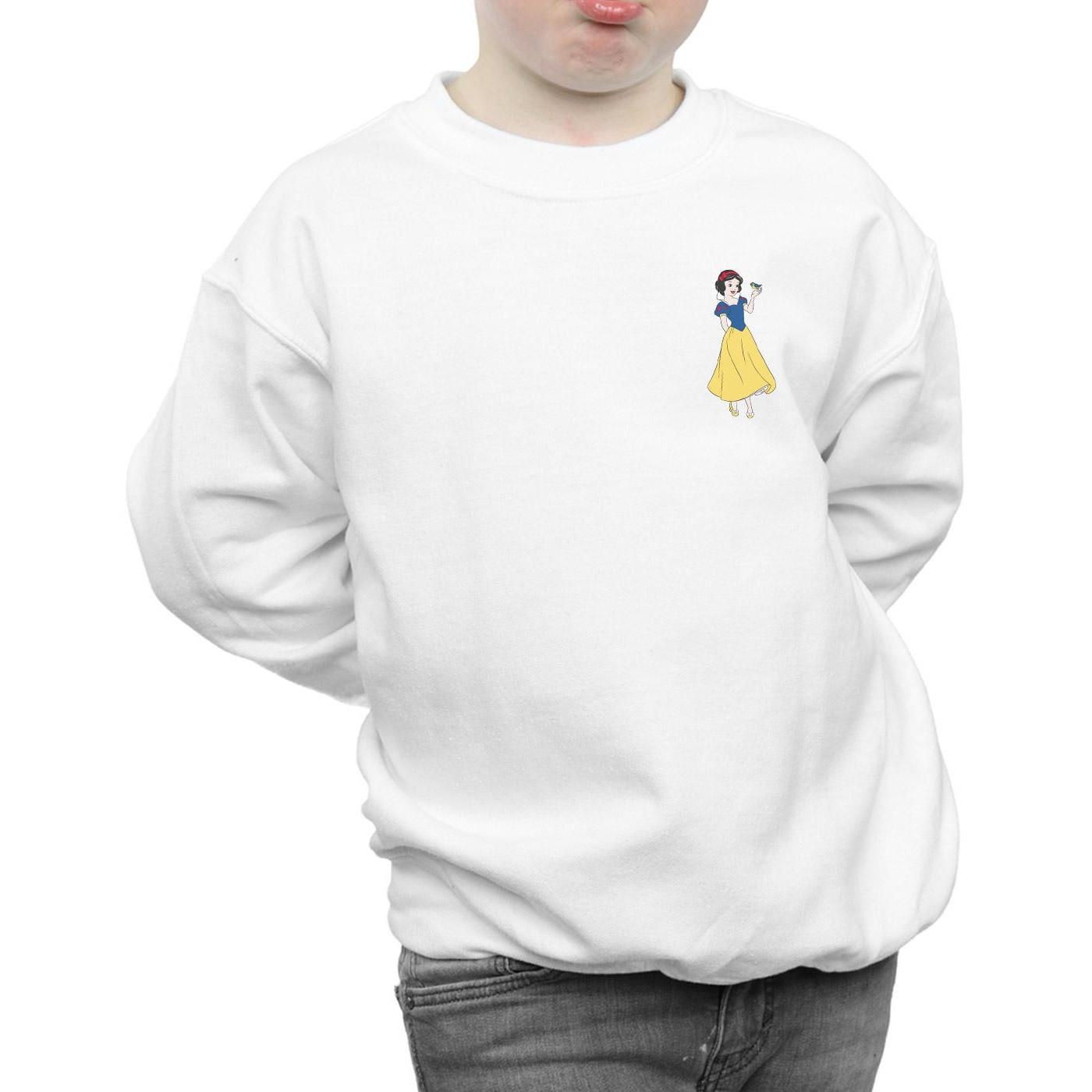 Disney PRINCESS Sweatshirt