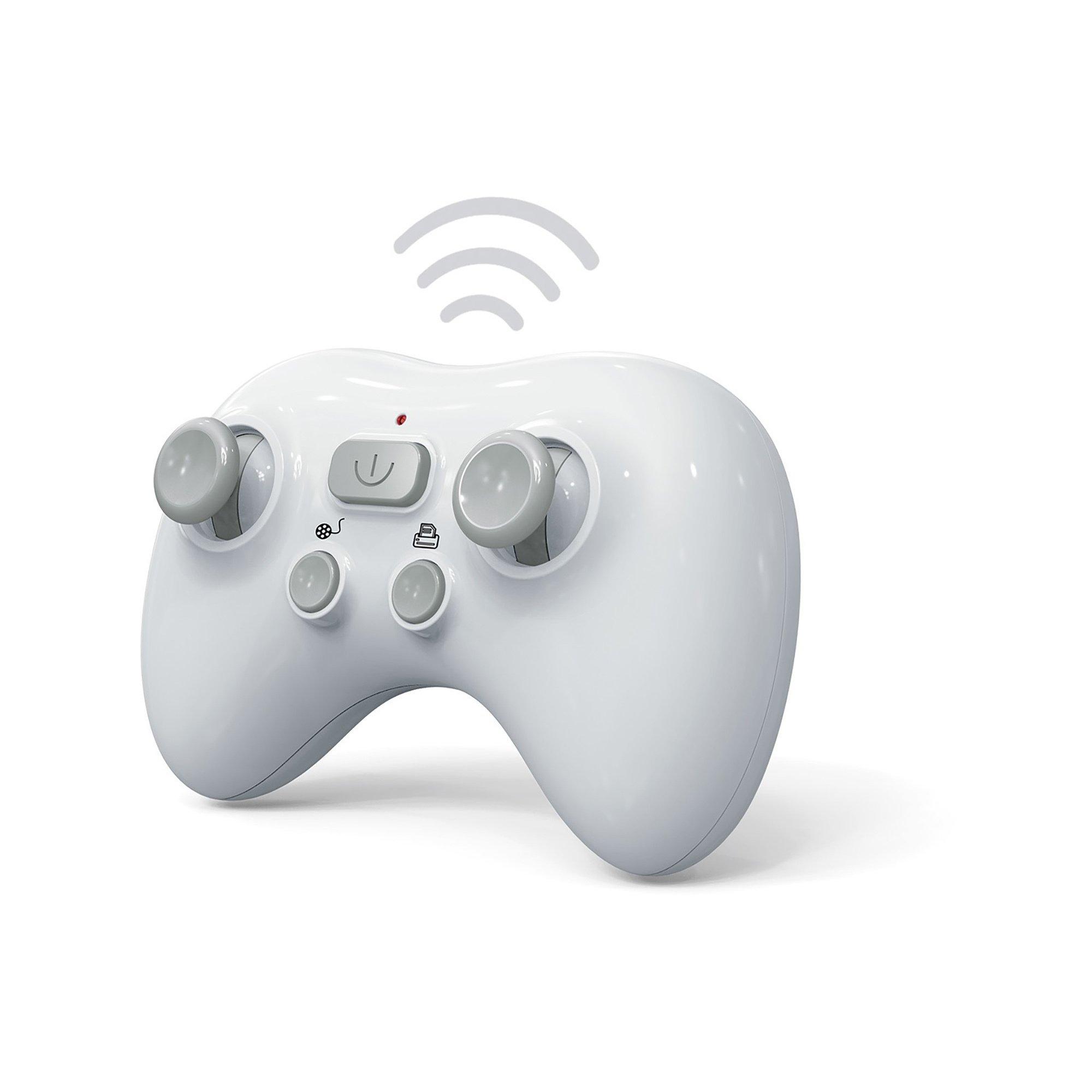 Totally Tech RC Stachelrochen 2.4 GHz