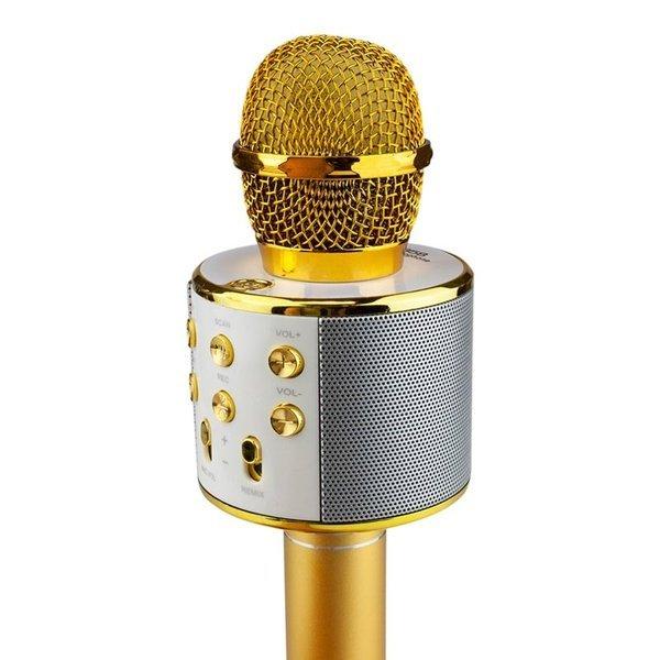 eStore KTV - Drahtloses Karaoke-Mikrofon - Gold