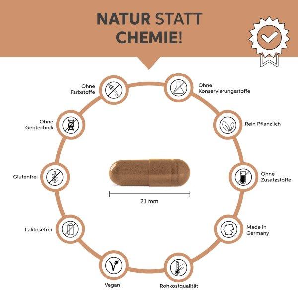 Eltabia Bio Zimt Kapseln