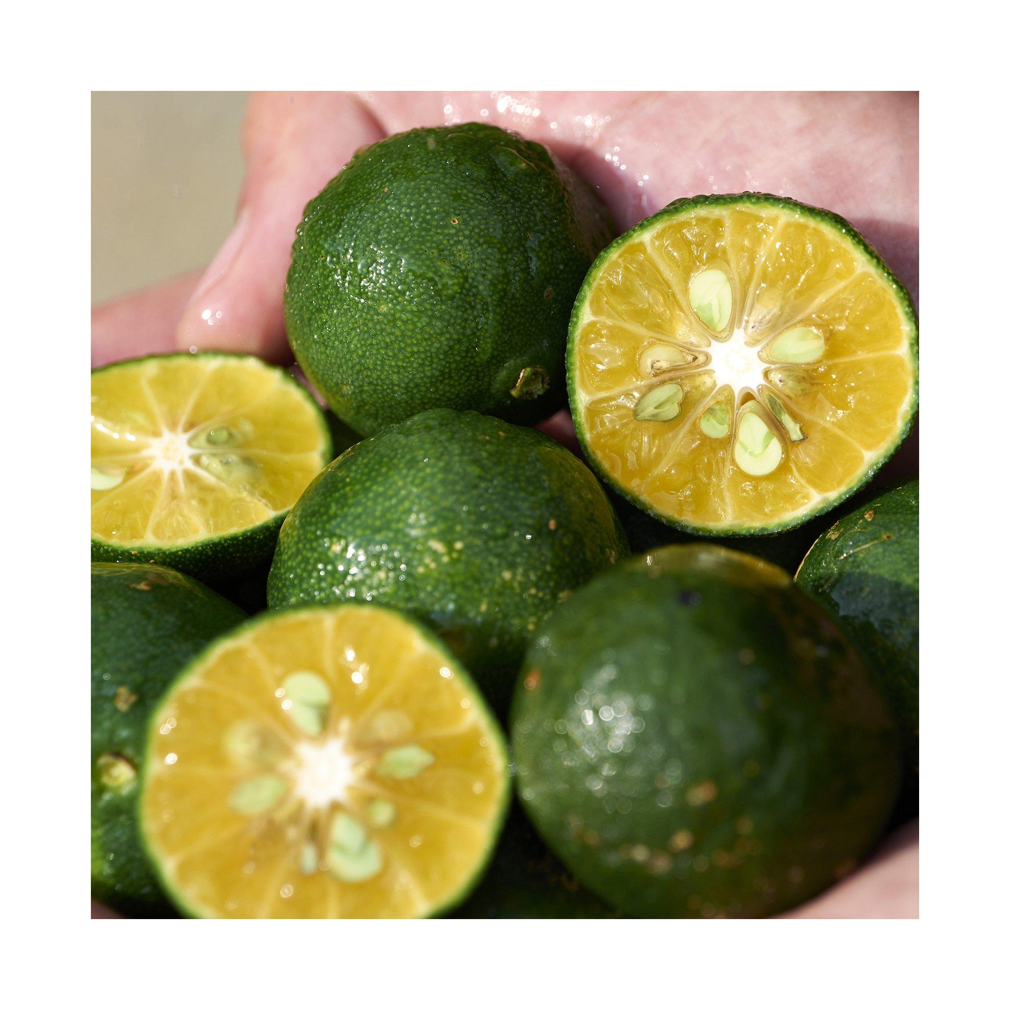 SHISEIDO Waso Shikulime Gel-to-Oil Cleanser