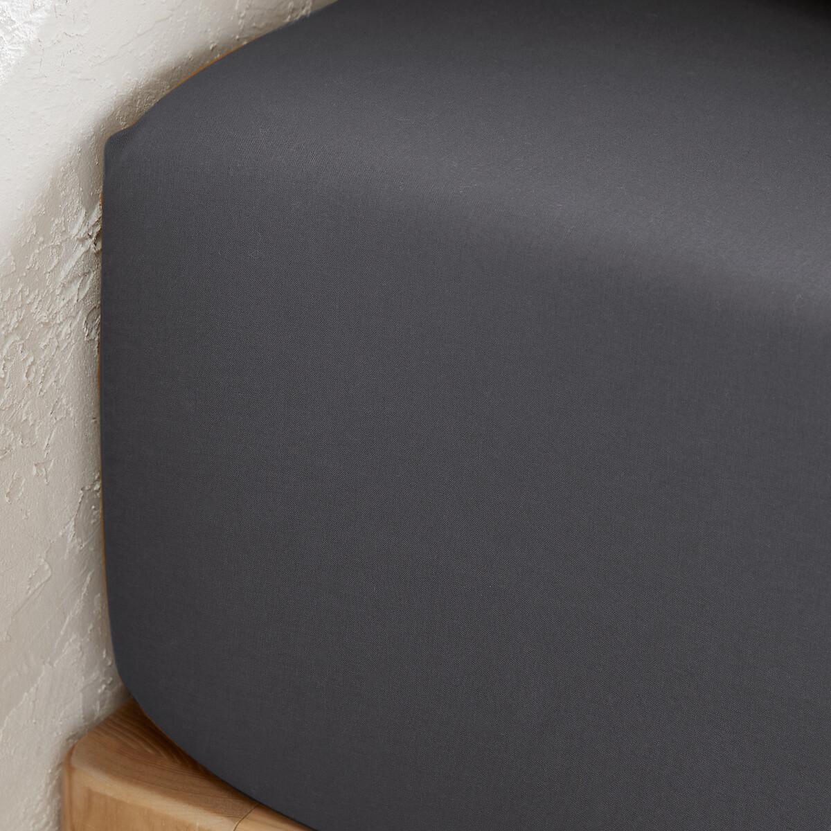 La Redoute Intérieurs Fixleintuch Scenario aus vorgewaschener Baumwolle