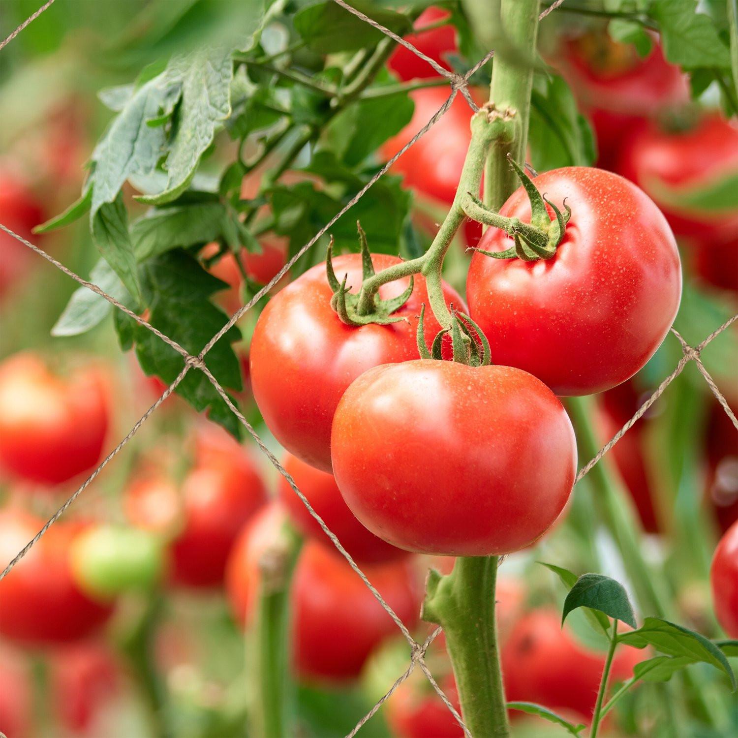 B2X Gitternetz aus Jute