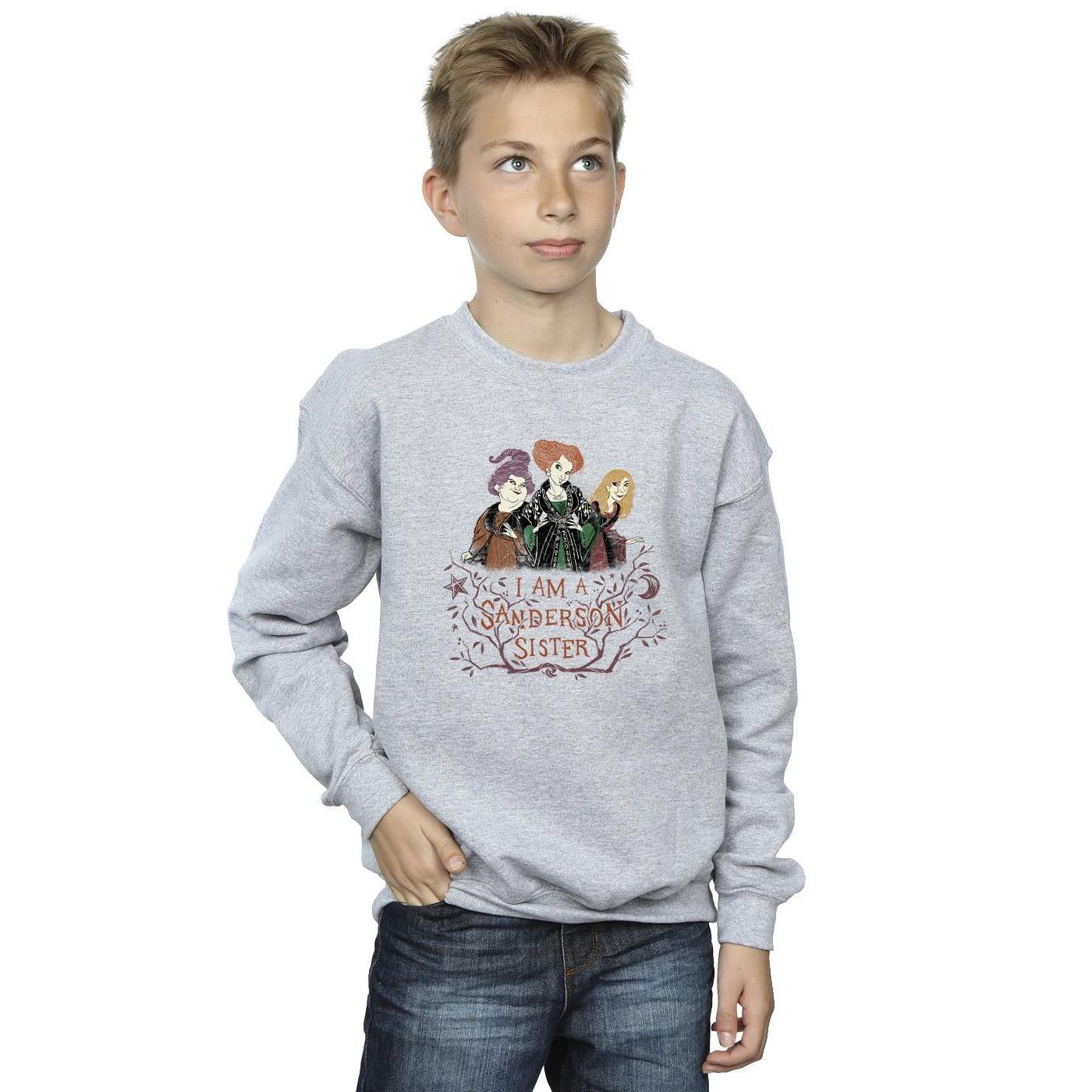 Disney Hocus Pocus Sanderson Sister Sweatshirt