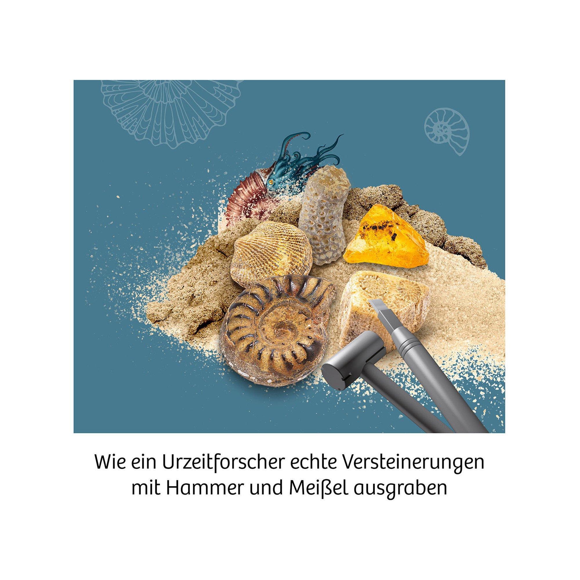 Kosmos Fossilien-Ausgrabungs-Set