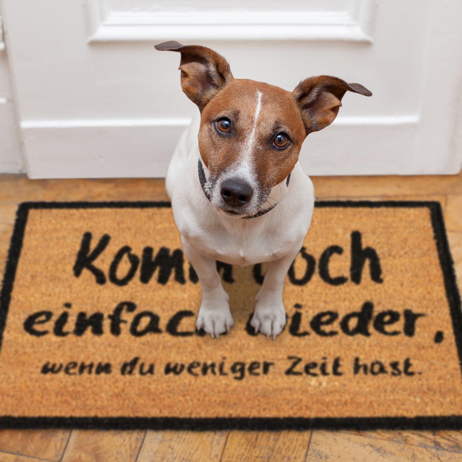 B2X Fußmatte Kokosnuss COME AGAIN