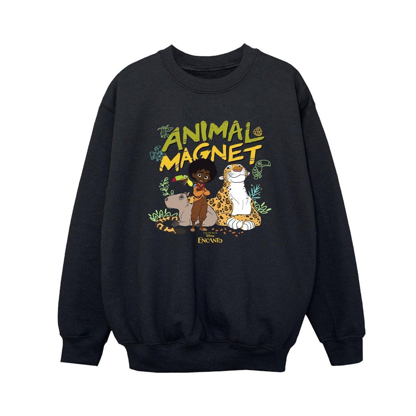 Disney Encanto Sweatshirt