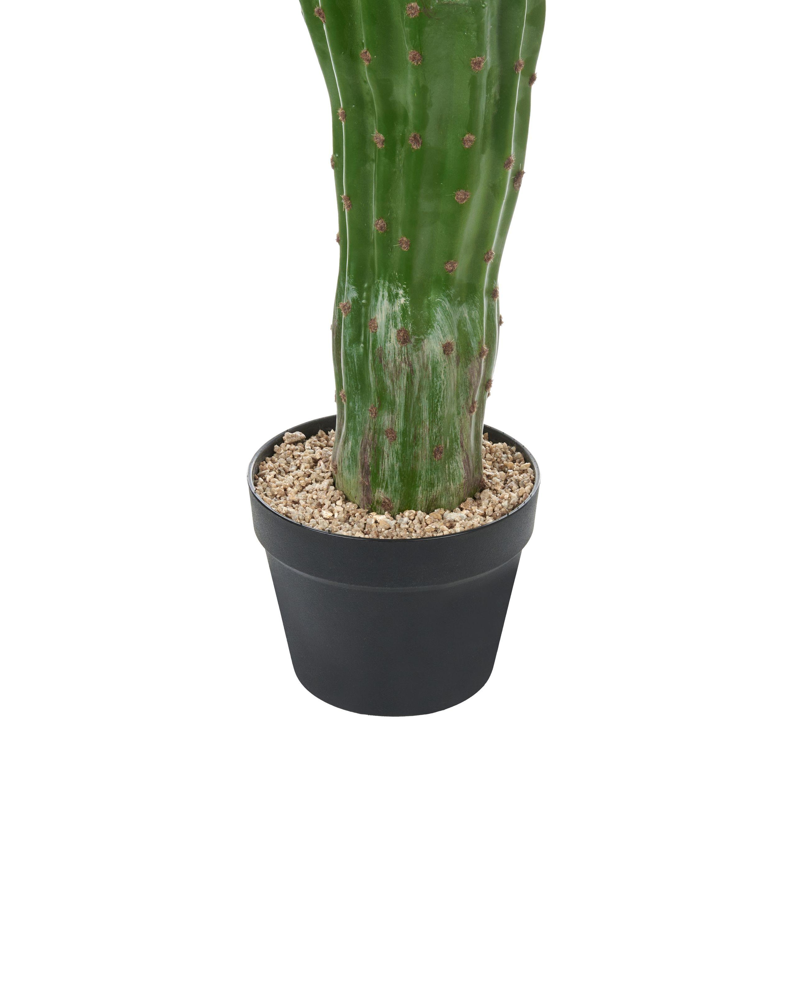 Beliani Kunstpflanze aus Kunststoff MAROCCO CEREUS
