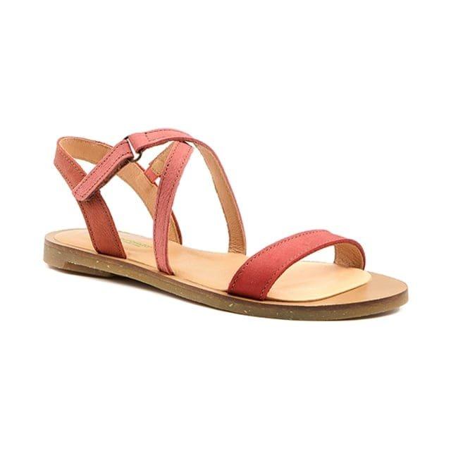 El Naturalista N5196-41