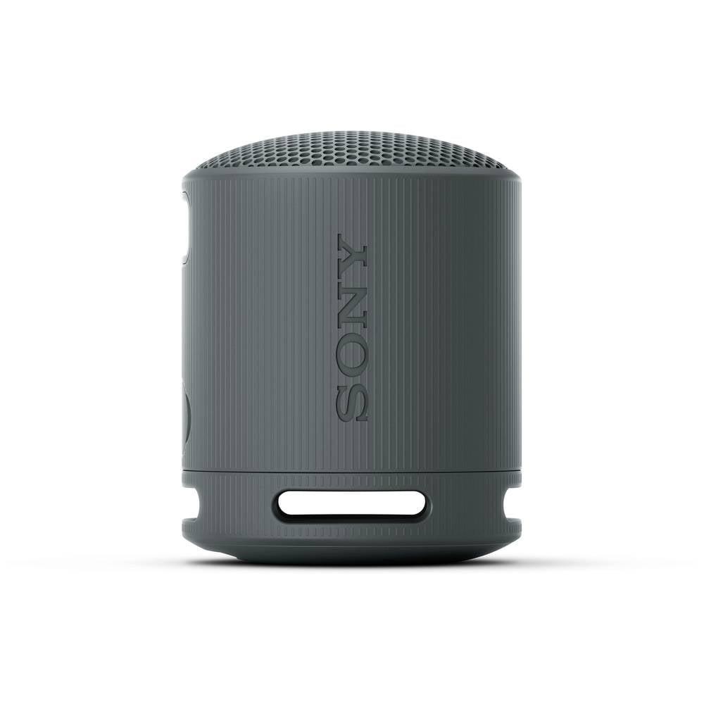 SONY XB100 Tragbarer kabelloser Lautsprecher
