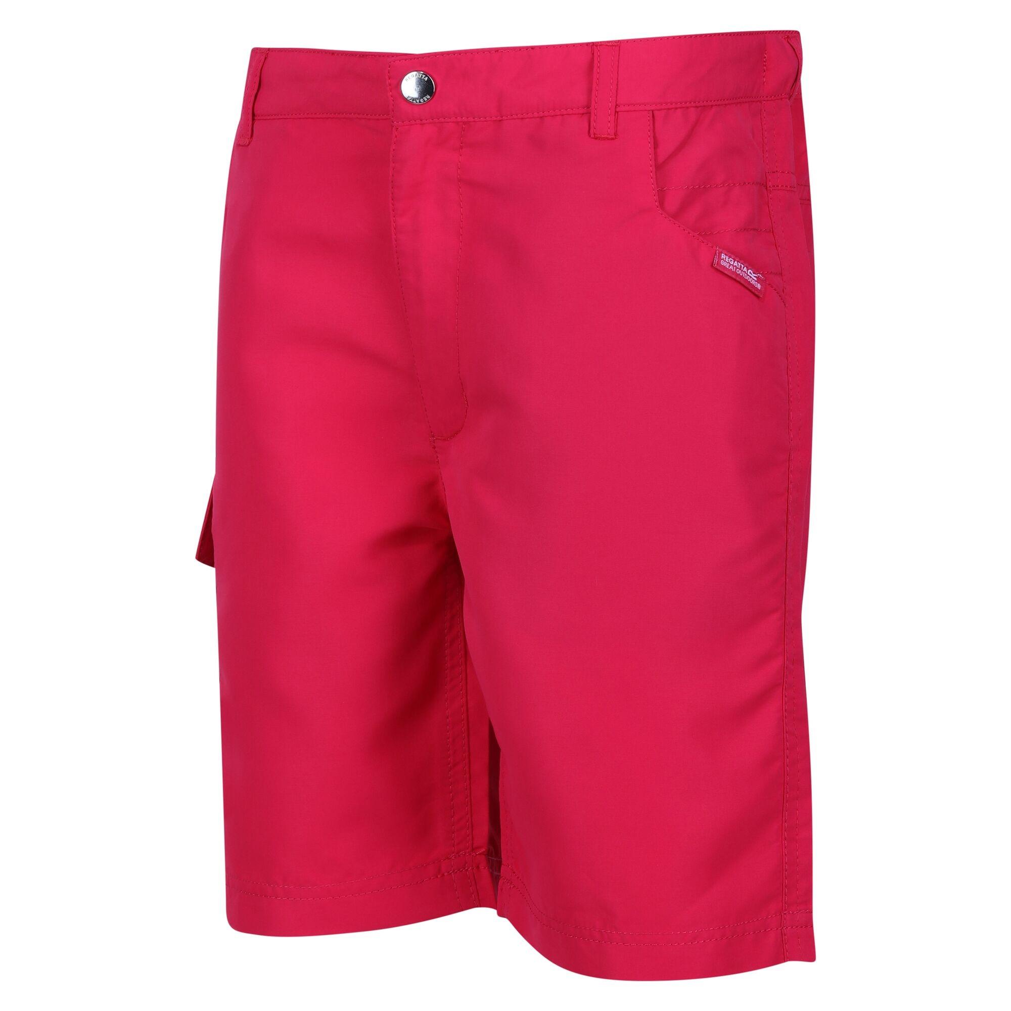 Regatta Sorcer II Shorts